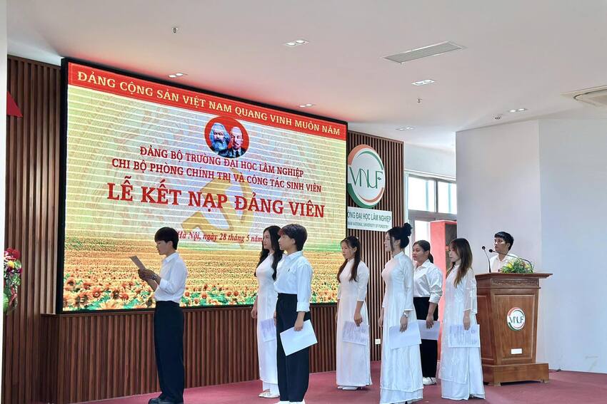 Hướng dẫn mới của Ban Bí thư về thi hành Điều lệ Đảng