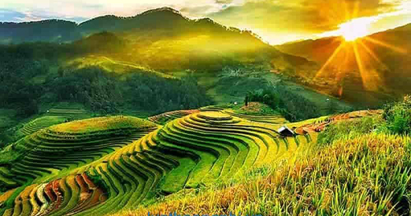 Phát huy cao nhất tiềm năng, lợi thế vùng trung du và miền núi Bắc Bộ